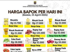 Harga Cabai Naik, Kepala Disperindag Metro: Pasokan Masih Aman